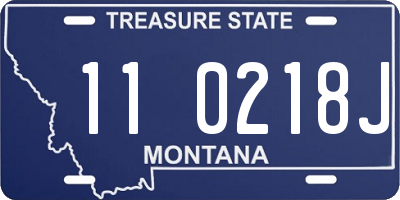 MT license plate 110218J