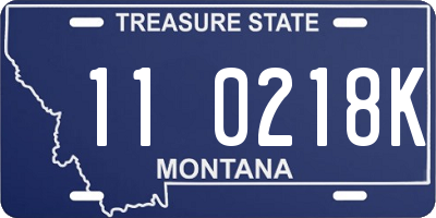 MT license plate 110218K