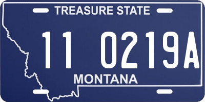 MT license plate 110219A