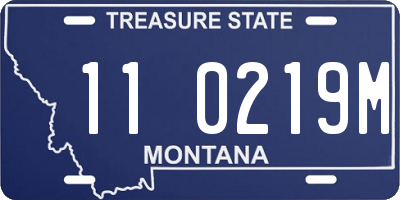 MT license plate 110219M