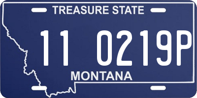 MT license plate 110219P