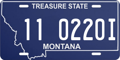 MT license plate 110220I