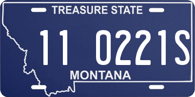 MT license plate 110221S