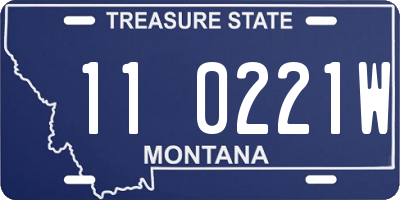 MT license plate 110221W