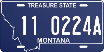 MT license plate 110224A