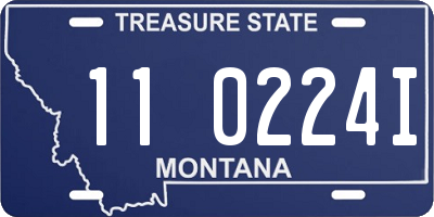 MT license plate 110224I