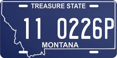 MT license plate 110226P