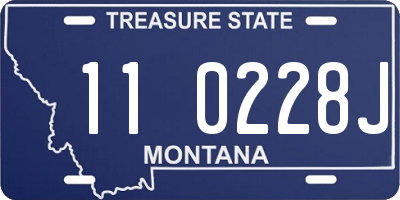 MT license plate 110228J