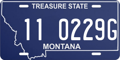 MT license plate 110229G