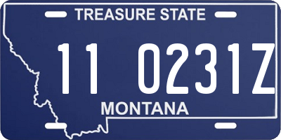 MT license plate 110231Z