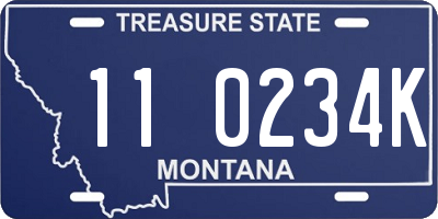 MT license plate 110234K