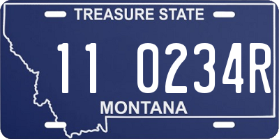 MT license plate 110234R