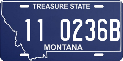 MT license plate 110236B