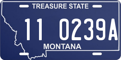 MT license plate 110239A