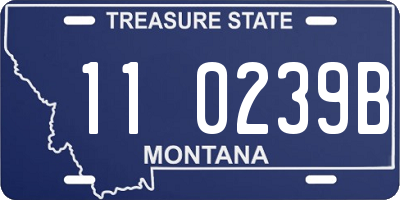 MT license plate 110239B