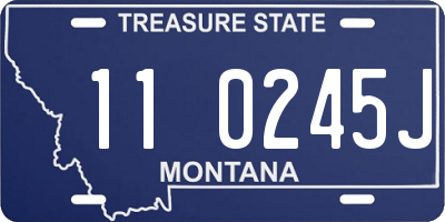 MT license plate 110245J