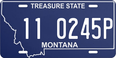 MT license plate 110245P