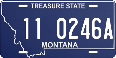 MT license plate 110246A