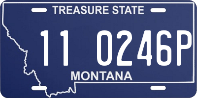 MT license plate 110246P