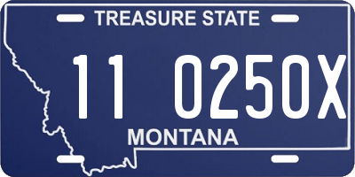 MT license plate 110250X