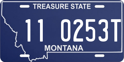 MT license plate 110253T