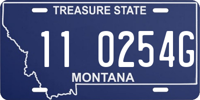 MT license plate 110254G