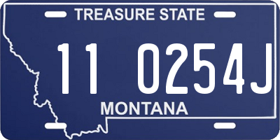 MT license plate 110254J