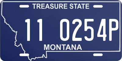 MT license plate 110254P