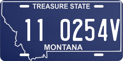 MT license plate 110254V