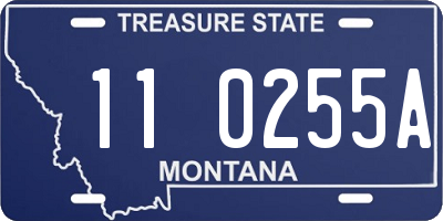 MT license plate 110255A