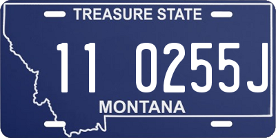 MT license plate 110255J