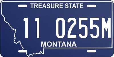 MT license plate 110255M