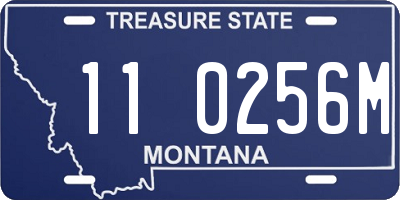 MT license plate 110256M