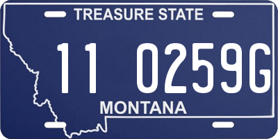 MT license plate 110259G