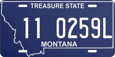 MT license plate 110259L