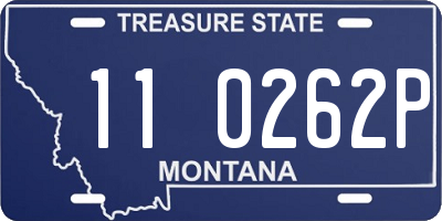 MT license plate 110262P