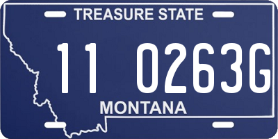 MT license plate 110263G