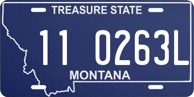 MT license plate 110263L