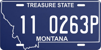 MT license plate 110263P