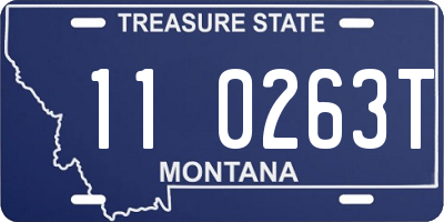 MT license plate 110263T
