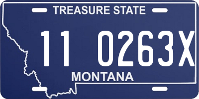 MT license plate 110263X