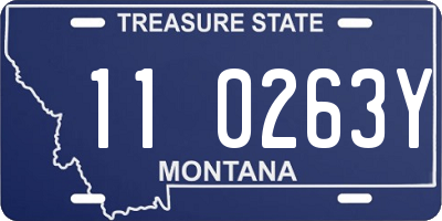 MT license plate 110263Y
