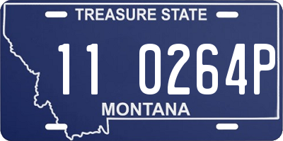 MT license plate 110264P