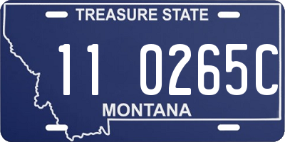 MT license plate 110265C