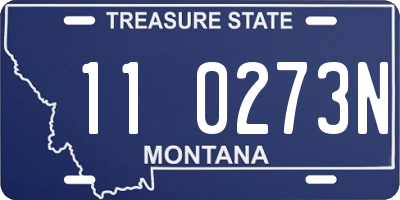 MT license plate 110273N