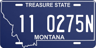 MT license plate 110275N