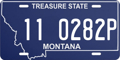 MT license plate 110282P