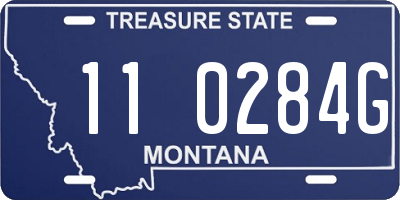 MT license plate 110284G