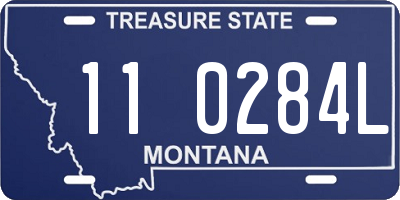 MT license plate 110284L