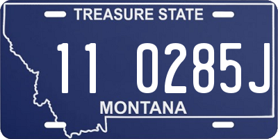 MT license plate 110285J